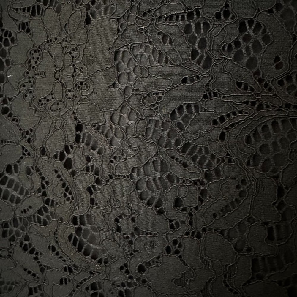 Who What Wear Black Lace Overlay Skirt, 20W
